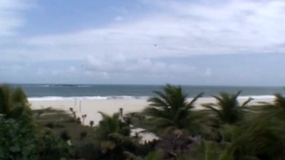 Tony decided to take take surfing after obeying some